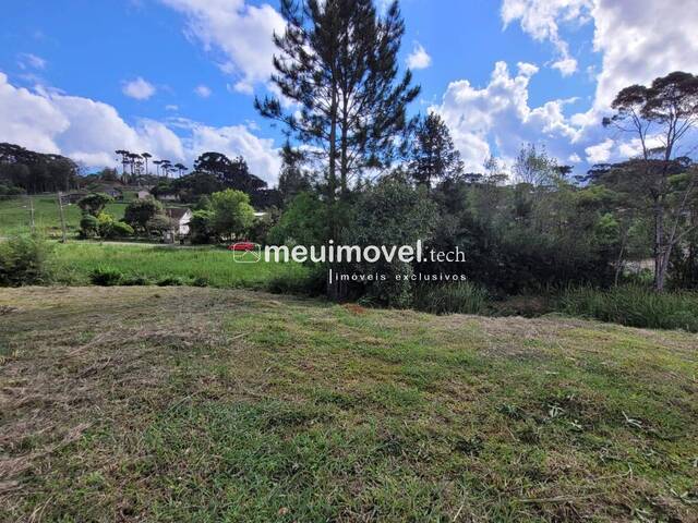 Área para Venda em São Bento do Sul - 5