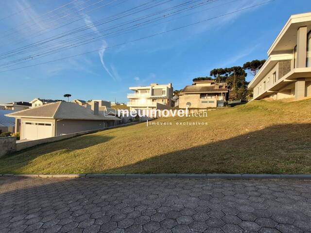#113 - Área para Venda em São Bento do Sul - SC - 2