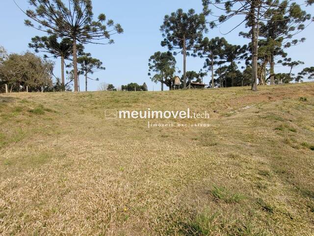 Área para Venda em São Bento do Sul - 4