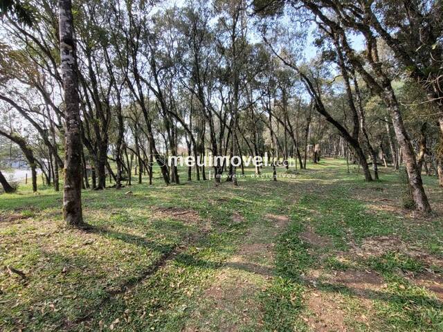 #118 - Área para Venda em São Bento do Sul - SC - 1