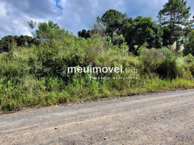 #126 - Área para Venda em São Bento do Sul - SC - 2