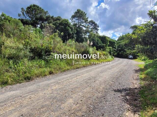 #126 - Área para Venda em São Bento do Sul - SC - 3