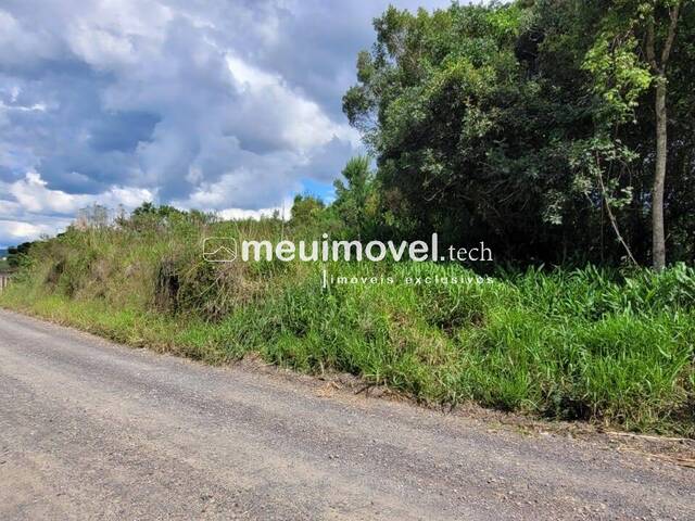 Área para Venda em São Bento do Sul - 4