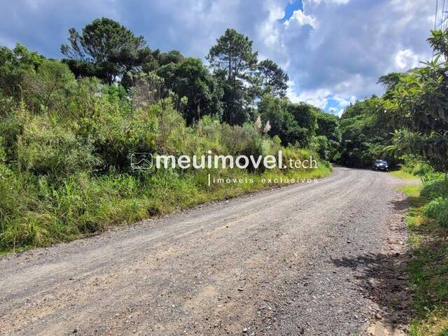 Área para Venda em São Bento do Sul - 5