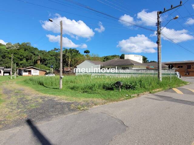 #139 - Área para Venda em São Bento do Sul - SC - 2