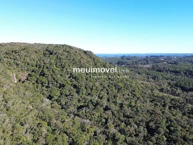 #143 - Área para Venda em São Bento do Sul - SC - 3