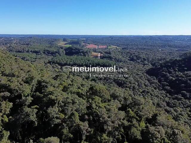 Área para Venda em São Bento do Sul - 5
