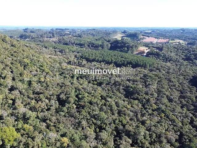 Área para Venda em São Bento do Sul - 4