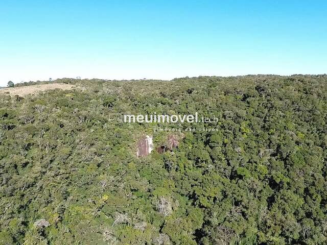 #143 - Área para Venda em São Bento do Sul - SC - 2