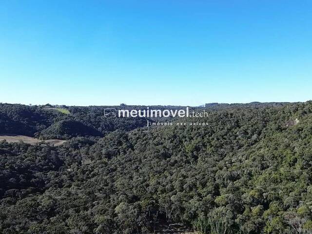 #143 - Área para Venda em São Bento do Sul - SC - 1