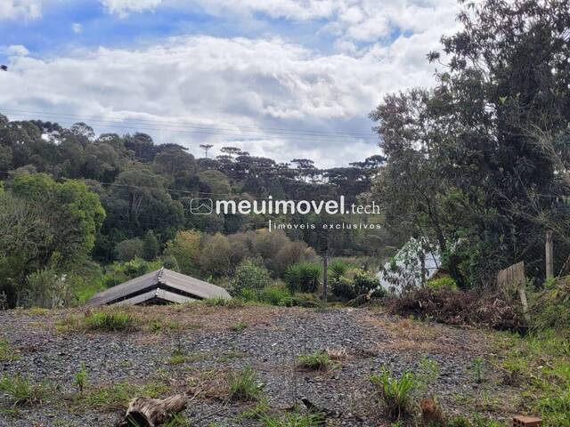 Área para Venda em São Bento do Sul - 4