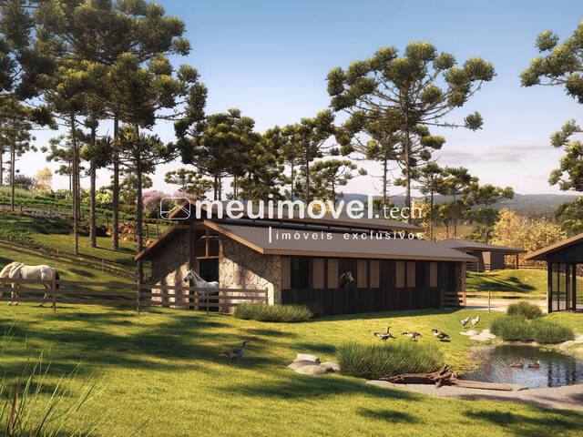 #148 - Área para Venda em Campo Alegre - SC