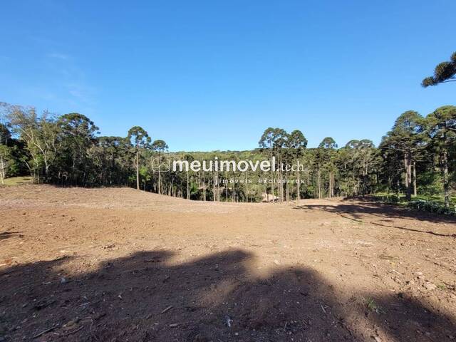 #141 - Área para Venda em Campo Alegre - SC