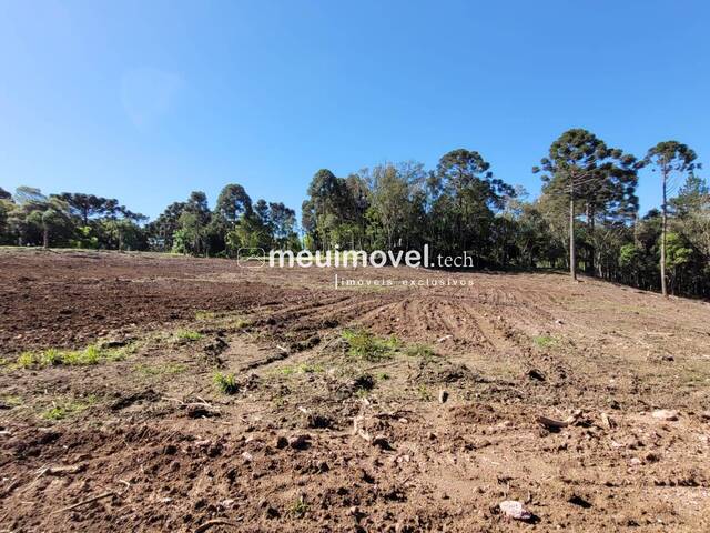 #141 - Área para Venda em Campo Alegre - SC