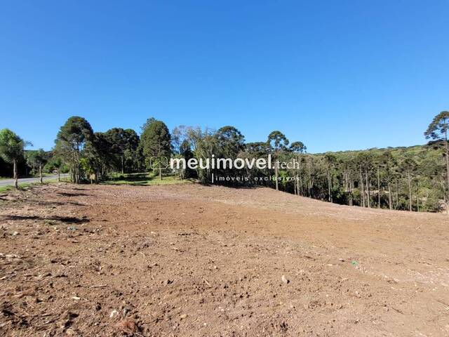 #141 - Área para Venda em Campo Alegre - SC