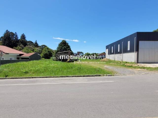 #150 - Área para Venda em São Bento do Sul - SC