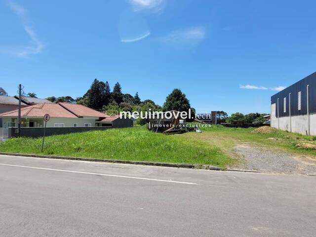 #150 - Área para Venda em São Bento do Sul - SC