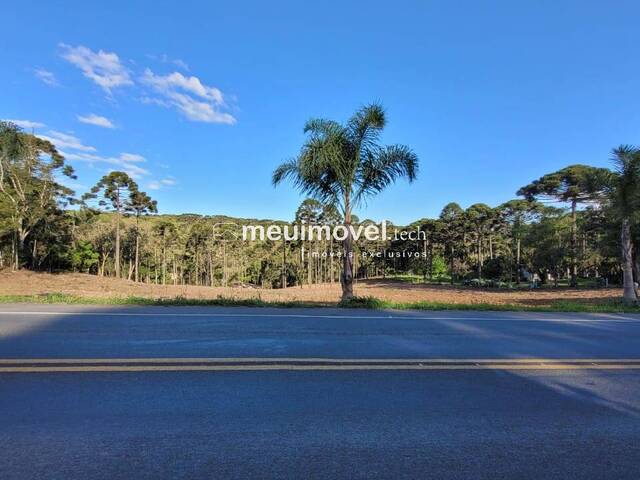 #141 - Área para Venda em Campo Alegre - SC