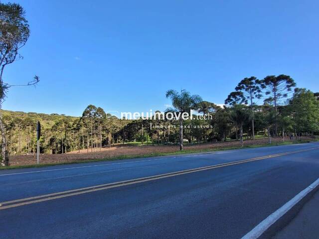 #141 - Área para Venda em Campo Alegre - SC