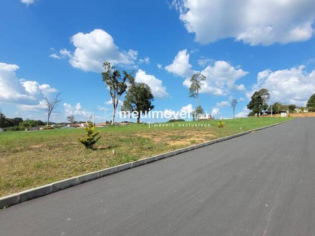 #158 - Área para Venda em São Bento do Sul - SC