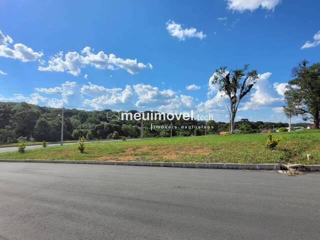 #158 - Área para Venda em São Bento do Sul - SC