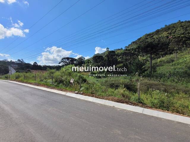 #145 - Área para Venda em São Bento do Sul - SC - 3