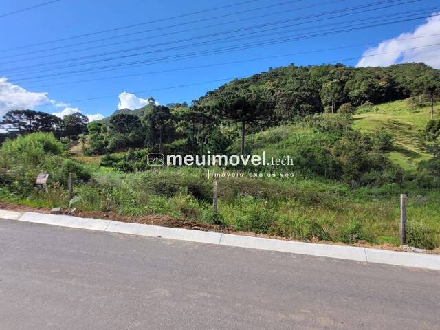 #145 - Área para Venda em São Bento do Sul - SC - 2