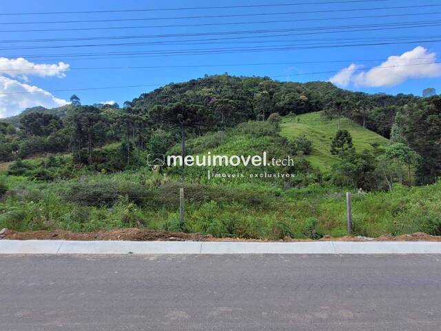 #145 - Área para Venda em São Bento do Sul - SC - 1