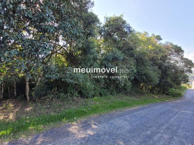 Venda em Serra Alta - São Bento do Sul