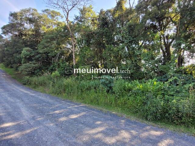 #166 - Área para Venda em São Bento do Sul - SC