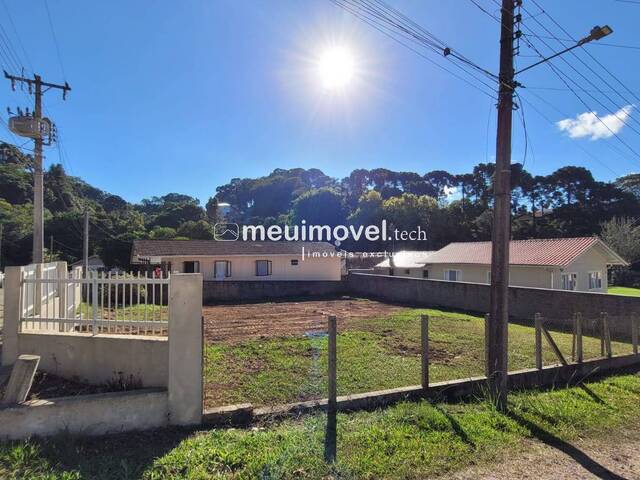 Área para Venda em São Bento do Sul - 4