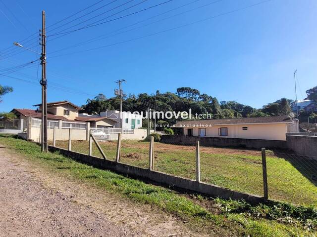 Área para Venda em São Bento do Sul - 5