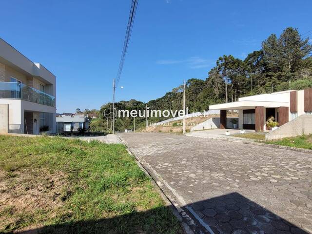 Área para Venda em São Bento do Sul - 5