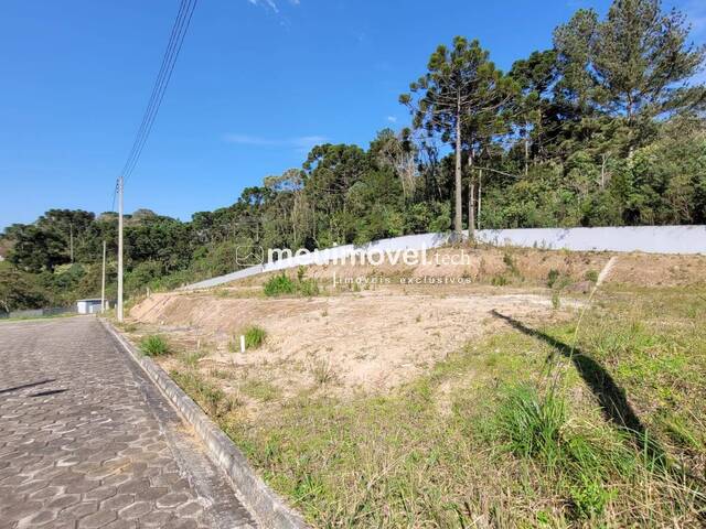 Área para Venda em São Bento do Sul - 2