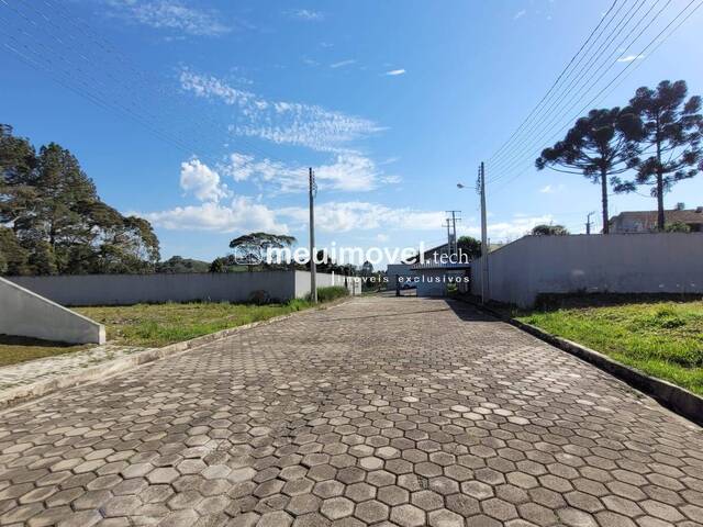 Venda em Centenário - São Bento do Sul