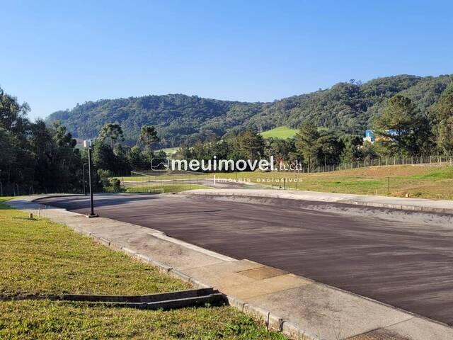 Área para Venda em São Bento do Sul - 4