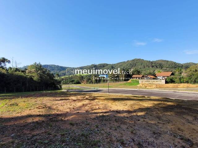 Área para Venda em São Bento do Sul - 5