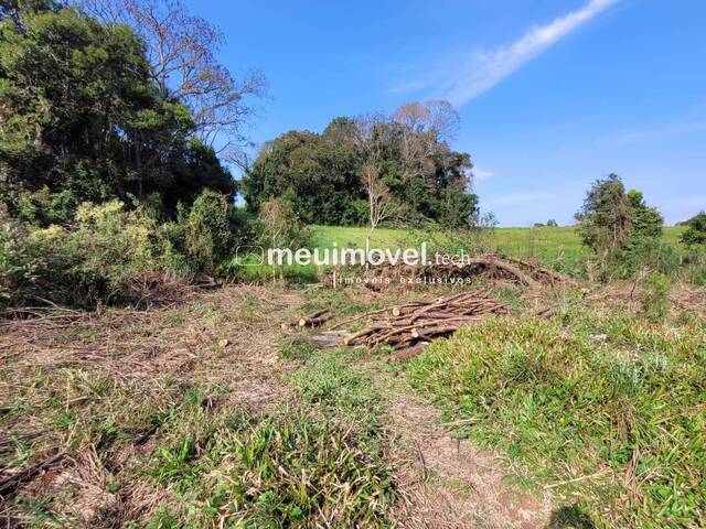 Área para Venda em São Bento do Sul - 3