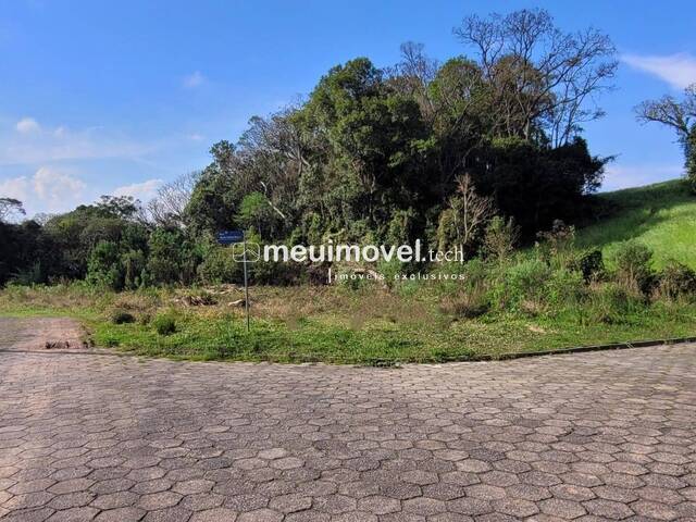 Área para Venda em São Bento do Sul - 2