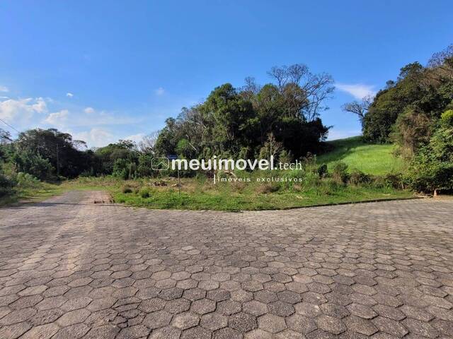 Área para Venda em São Bento do Sul - 4