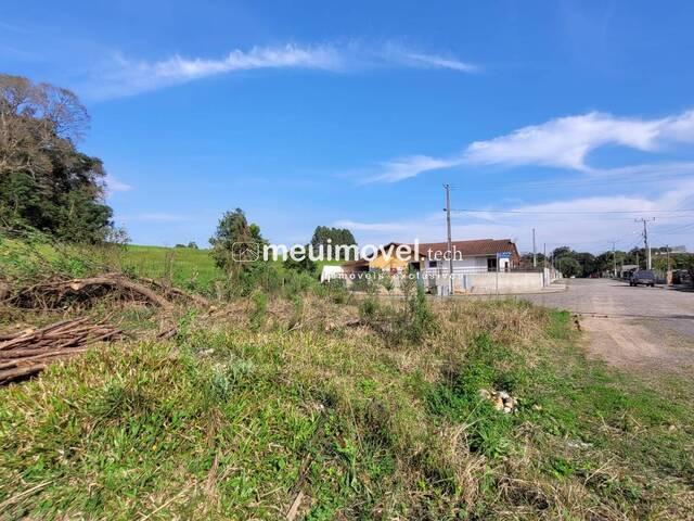 Área para Venda em São Bento do Sul - 5