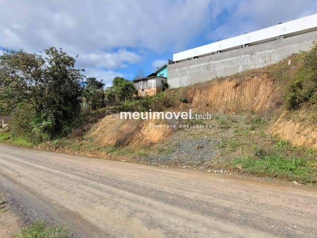 #154 - Área para Venda em São Bento do Sul - SC - 3
