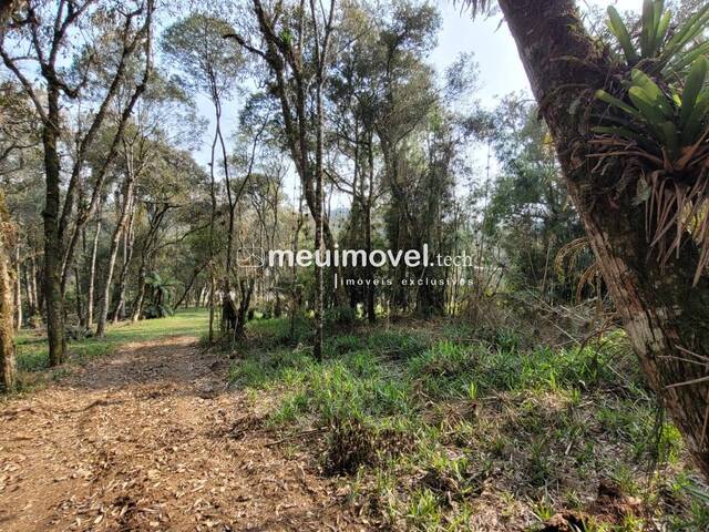 #155 - Área para Venda em São Bento do Sul - SC - 3