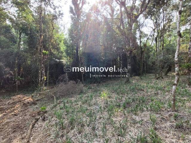 Área para Venda em São Bento do Sul - 5
