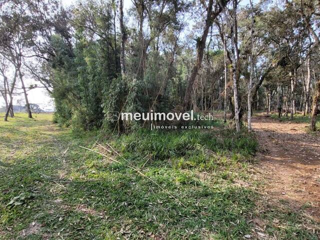 #155 - Área para Venda em São Bento do Sul - SC - 2