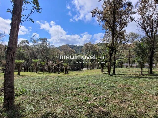 Área para Venda em São Bento do Sul - 5