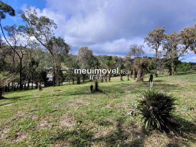 Área para Venda em São Bento do Sul - 4