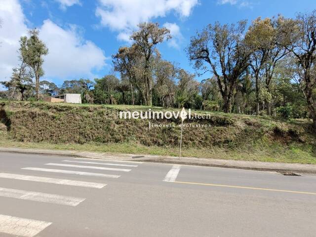 #162 - Área para Venda em São Bento do Sul - SC - 2