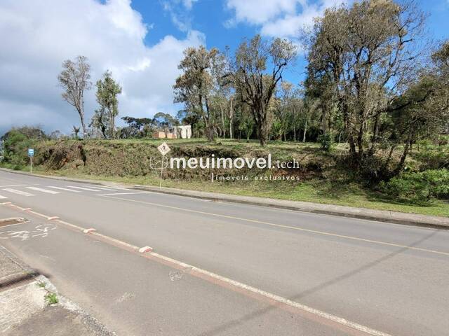 #162 - Área para Venda em São Bento do Sul - SC - 1