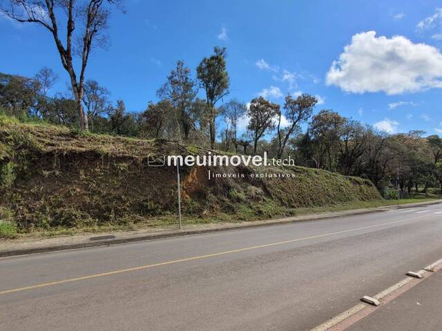 #162 - Área para Venda em São Bento do Sul - SC - 3